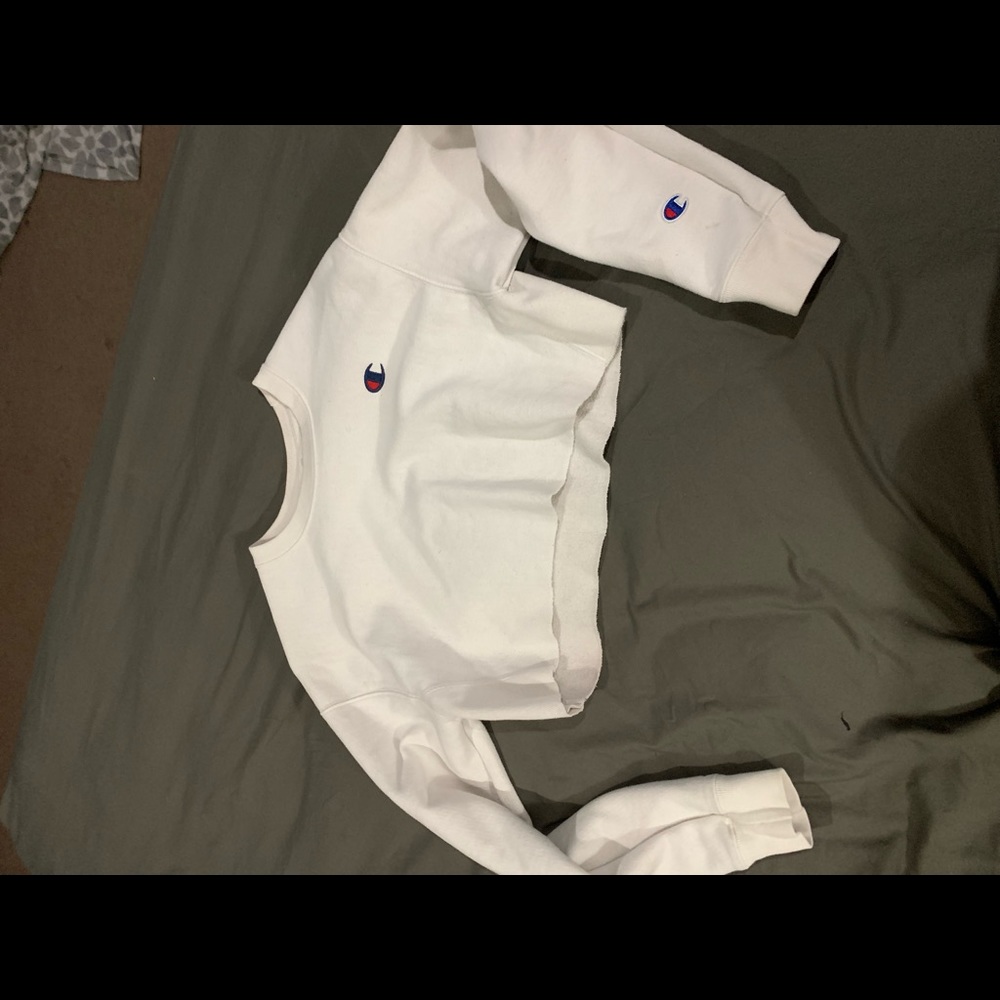 champion cropped hoodie